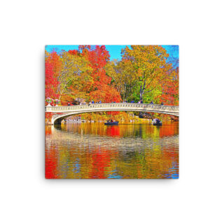 Thin canvas Usa New York City Central Park Foliage 0006