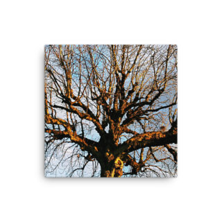 Thin canvas Paris French Foliage 0006