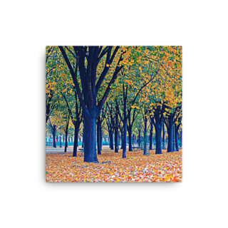 Thin canvas Paris French Foliage 0005