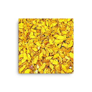 Thin canvas  Foliage 0001
