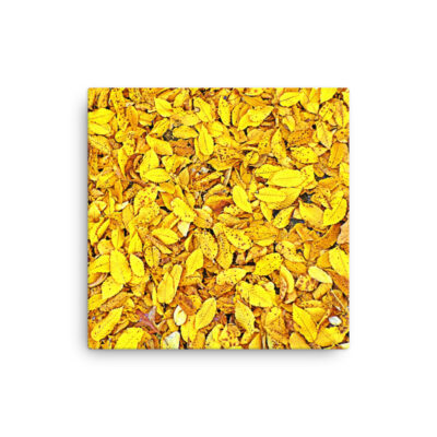 thin-canvas-in-12x12-front-68b0bb804be49.jpg Thin canvas Foliage 0001