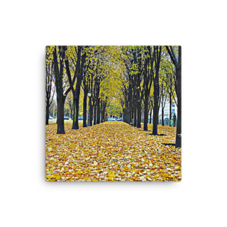 Thin canvas Paris French Foliage 0003