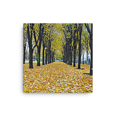 thin-canvas-in-12x12-front-68b0bb8056c66.jpg Thin canvas Paris French Foliage 0003