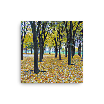 thin-canvas-in-12x12-front-68b0bb805a267.jpg Thin canvas Paris French Foliage 0004
