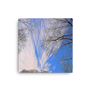 Thin canvas Usa Washington Dc Foliage 0002