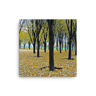 Thin canvas Paris French Foliage 0002