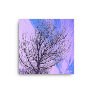 Thin canvas Usa Washington Dc Foliage 0001