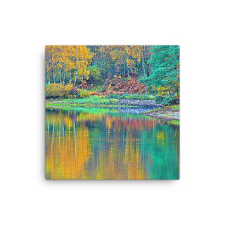 Thin canvas France Provence Foliage 0008