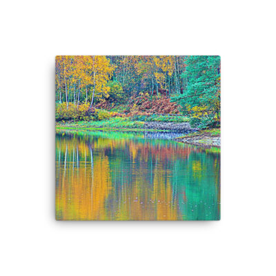 Thin canvas France Provence Foliage 0008