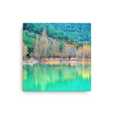 thin-canvas-in-12x12-front-68b0bdada570e.jpg Thin canvas Spain Foliage 0004