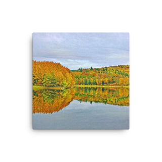 Thin canvas France Provence Foliage 0009