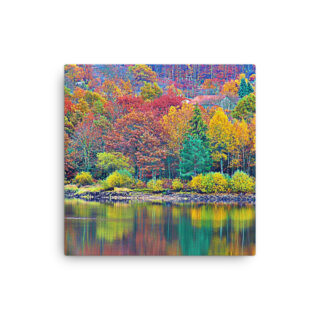 Thin canvas France Provence Foliage 0005