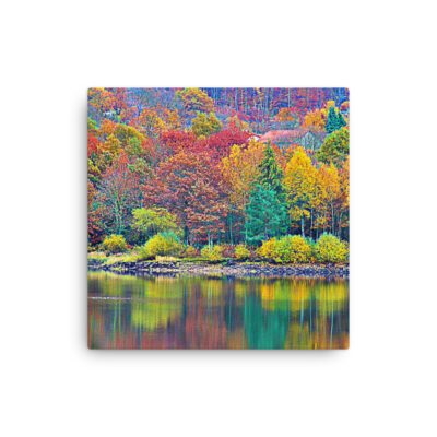 Thin canvas France Provence Foliage 0005