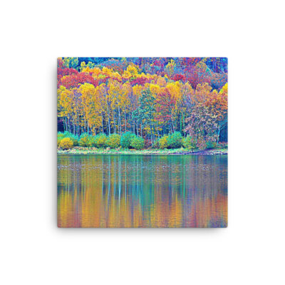 Thin canvas France Provence Foliage 0002