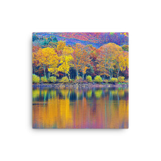 Thin canvas France Provence Foliage 0001