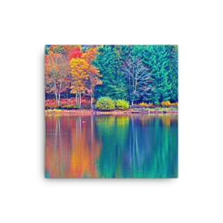 Thin canvas France Provence Foliage 00010