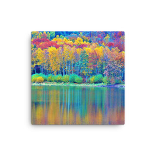 Thin canvas France Provence Foliage 00011
