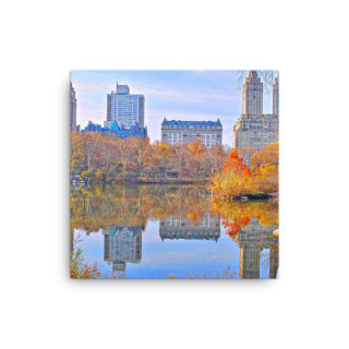 Thin canvas New York City Central Park Nyc 0004