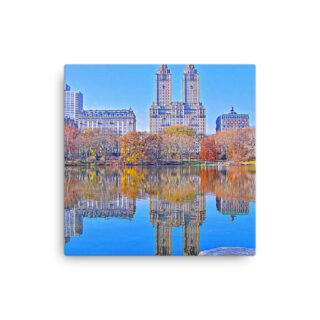 Thin canvas New York City Central Park Nyc 0005