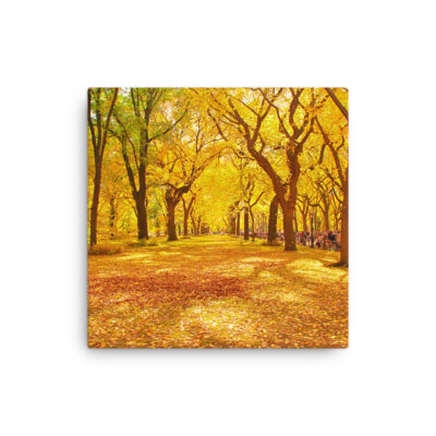 Thin canvas New York City Central Park Nyc 0001