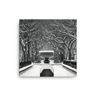 Thin canvas New York City Central Park Nyc 00010