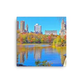 Thin canvas New York City Central Park Nyc 0002