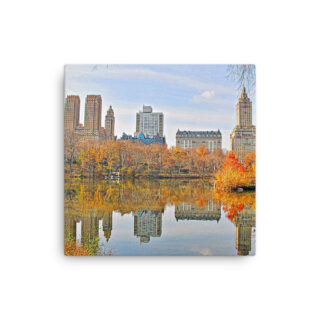 Thin canvas New York City Central Park Nyc 0003