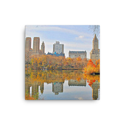 Thin canvas New York City Central Park Nyc 0003