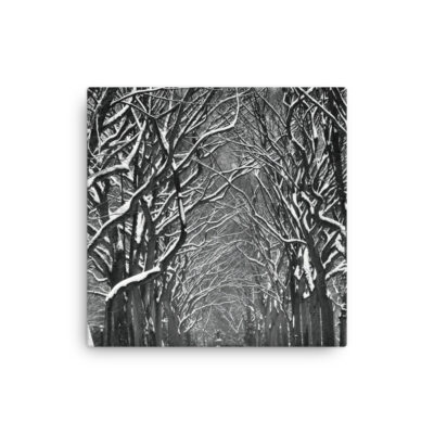 thin-canvas-in-12x12-front-68b0d3c31e10f.jpg Thin canvas New York City Central Park Nyc 0009