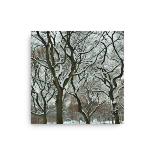Thin canvas New York City Central Park Nyc 0008