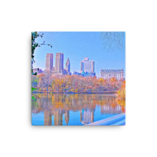 Thin canvas New York City Central Park Nyc 0007