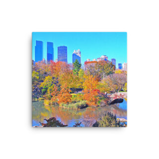 Thin canvas New York City Central Park Nyc 0006