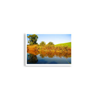 Poster print israel jordan river 0002 A2 (42×59.4 cm)