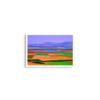 Poster print israel jezreel valley 0002 A2 (42×59.4 cm)