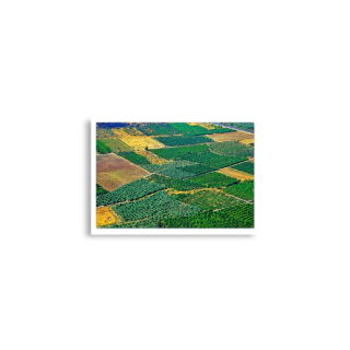 Poster print israel galilee 0003 A2 (42×59.4 cm)