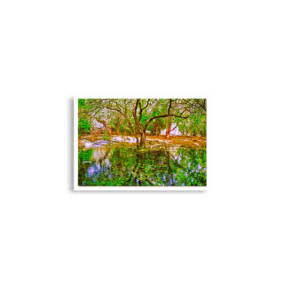 Poster print israel dan river 0002 A2 (42×59.4 cm)
