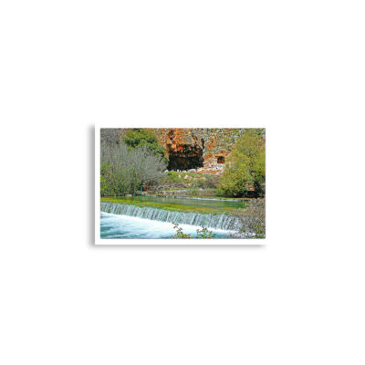 Poster print israel banias river 0001 A2 (42×59.4 cm)