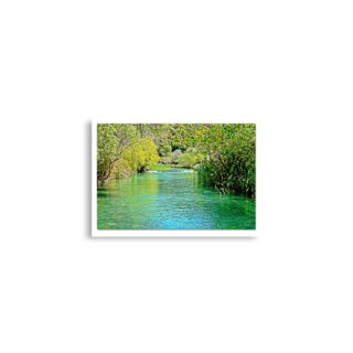 Poster print israel banias river 0002 A2 (42×59.4 cm)