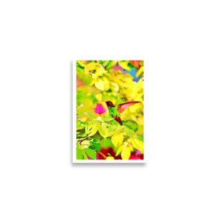 enhanced-matte-paper-poster-cm-a2-42x59.4-cm-front-68dae287c52a1.jpg Poster birds print Hummingbird 0001 A2 (42×59.4 cm)