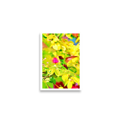 enhanced-matte-paper-poster-cm-a2-42x59.4-cm-front-68dae287c52a1.jpg Poster birds print Hummingbird 0001 A2 (42×59.4 cm)