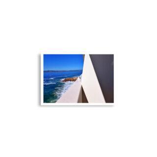 enhanced-matte-paper-poster-cm-a2-42x59.4-cm-front-68dae397093bb.jpg Poster birds print Sea Gull 0007 A2 (42×59.4 cm)