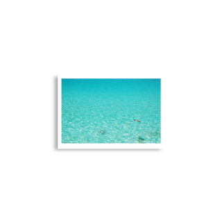 enhanced-matte-paper-poster-cm-a2-42x59.4-cm-front-68dae3980734e.jpg Poster birds print Sea Gull 0005 A2 (42×59.4 cm)