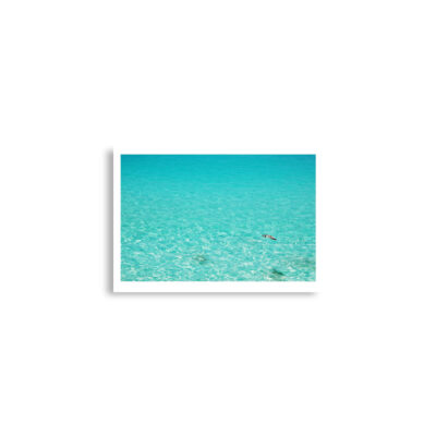 enhanced-matte-paper-poster-cm-a2-42x59.4-cm-front-68dae3980734e.jpg Poster birds print Sea Gull 0005 A2 (42×59.4 cm)