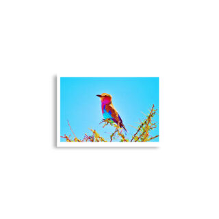 enhanced-matte-paper-poster-cm-a2-42x59.4-cm-front-68dae599276f3.jpg Poster birds print Roller 0001 A2 (42×59.4 cm)