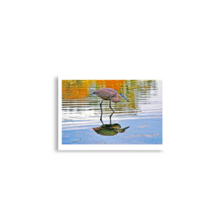 enhanced-matte-paper-poster-cm-a2-42x59.4-cm-front-68dae68382a16.jpg Poster birds print Great Blue Heron 0002 A2 (42×59.4 cm)