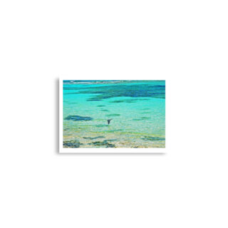 enhanced-matte-paper-poster-cm-a2-42x59.4-cm-front-68dae68386a3c.jpg Poster birds print Great Blue Heron 0004 A2 (42×59.4 cm)