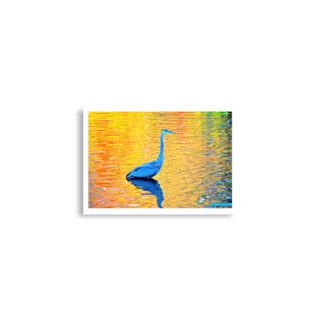 enhanced-matte-paper-poster-cm-a2-42x59.4-cm-front-68dae683c4021.jpg Poster birds print Great Blue Heron 0001 A2 (42×59.4 cm)
