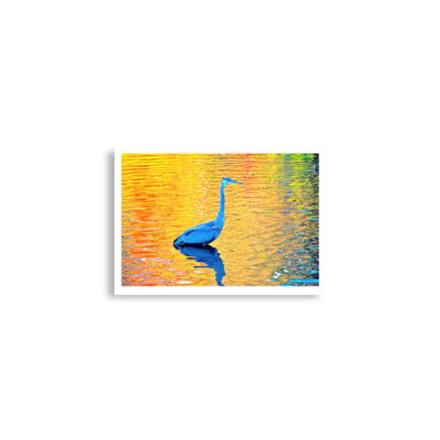 enhanced-matte-paper-poster-cm-a2-42x59.4-cm-front-68dae683c4021.jpg Poster birds print Great Blue Heron 0001 A2 (42×59.4 cm)