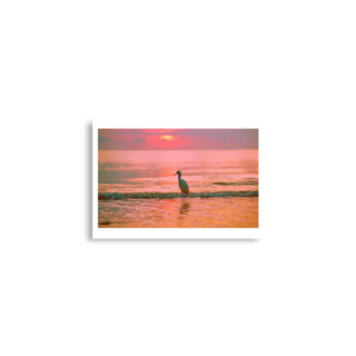 enhanced-matte-paper-poster-cm-a2-42x59.4-cm-front-68dae683e65dd.jpg Poster birds print Egret 0003 A2 (42×59.4 cm)