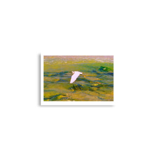 enhanced-matte-paper-poster-cm-a2-42x59.4-cm-front-68dae8025a9dd.jpg Poster birds  print Egret 0001 A2 (42×59.4 cm)